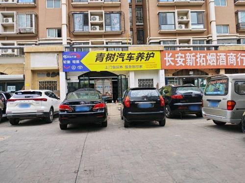 青树汽车养护