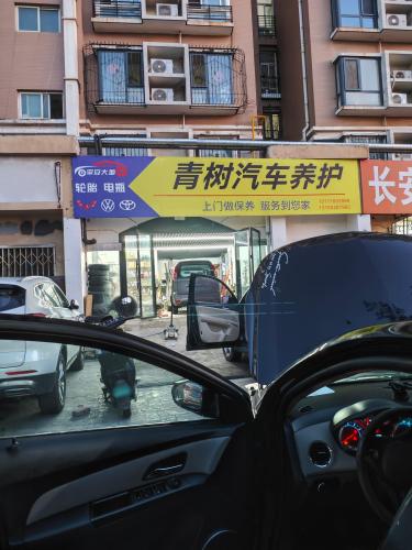青树汽车养护