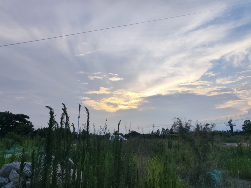 北五里铺风筝放飞场