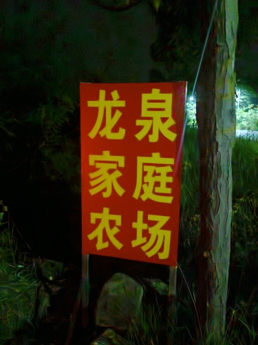 龙泉家庭农场