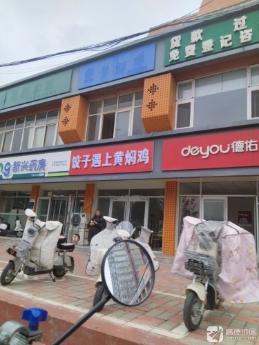 饺子遇上黄焖鸡