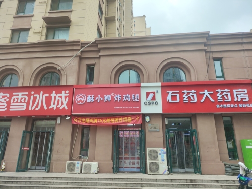 酥小狮炸鸡腿百岛绿城店