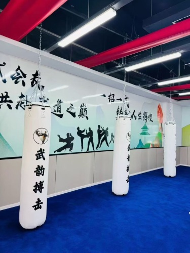 武韵功夫会馆(新悦汇校区)