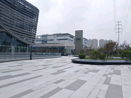 国和名车