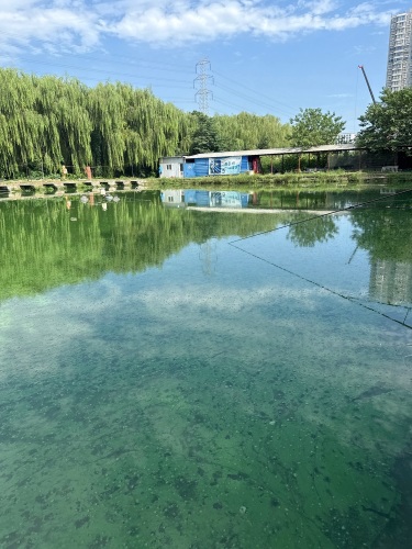 沃达垂钓园