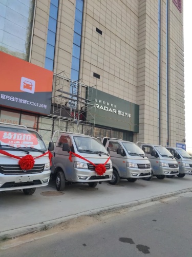 雷达汽车(乐城·国际汽车产业园区店)