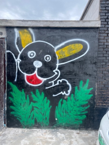 TT宠物