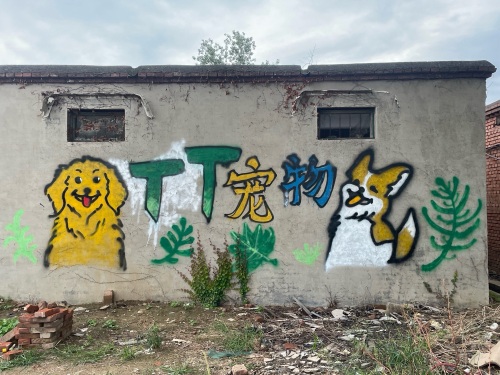 TT宠物