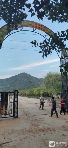 西柏坡阳光玫瑰葡萄采摘基地