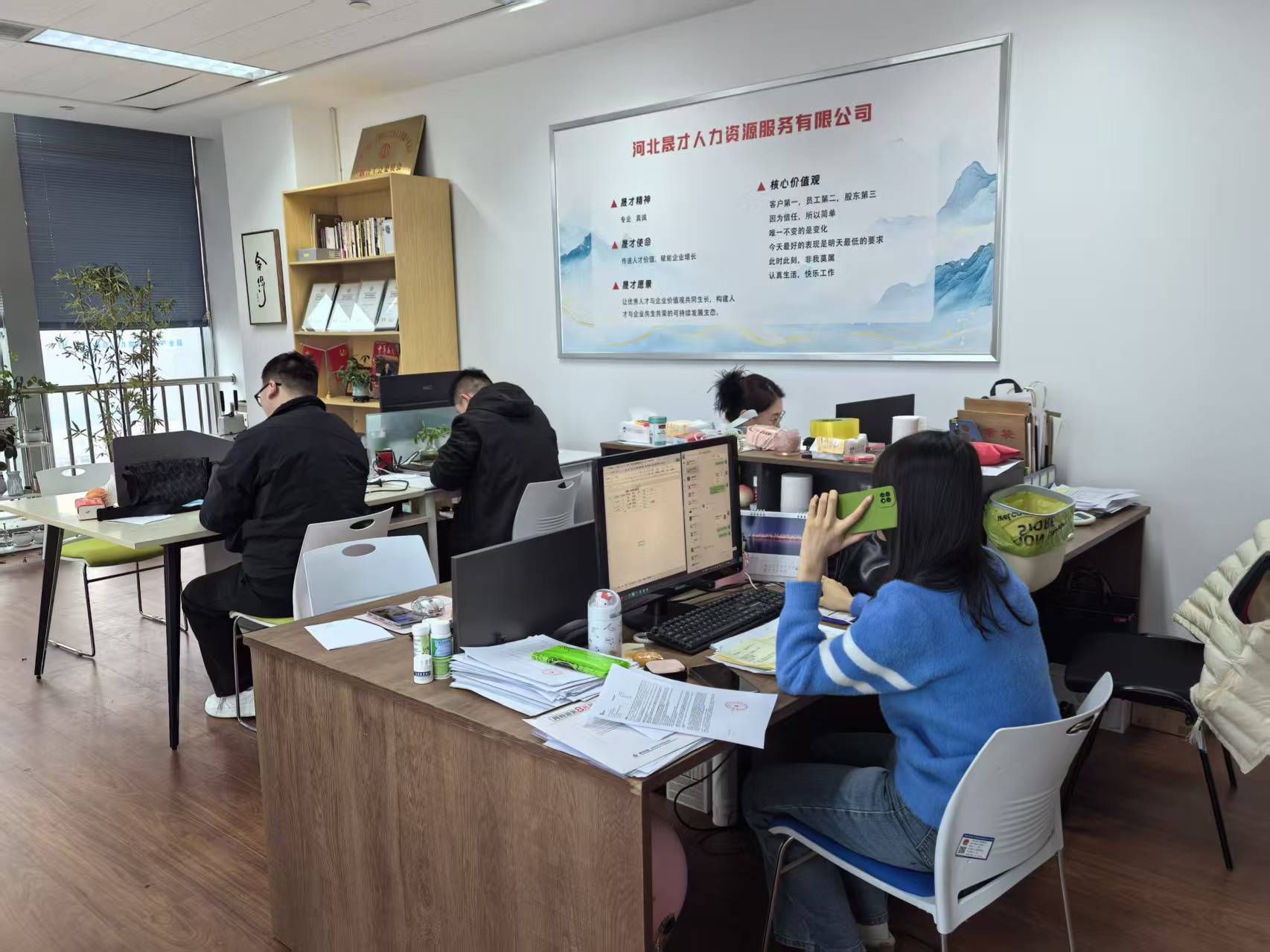 河北晟才人力资源服务有限公司