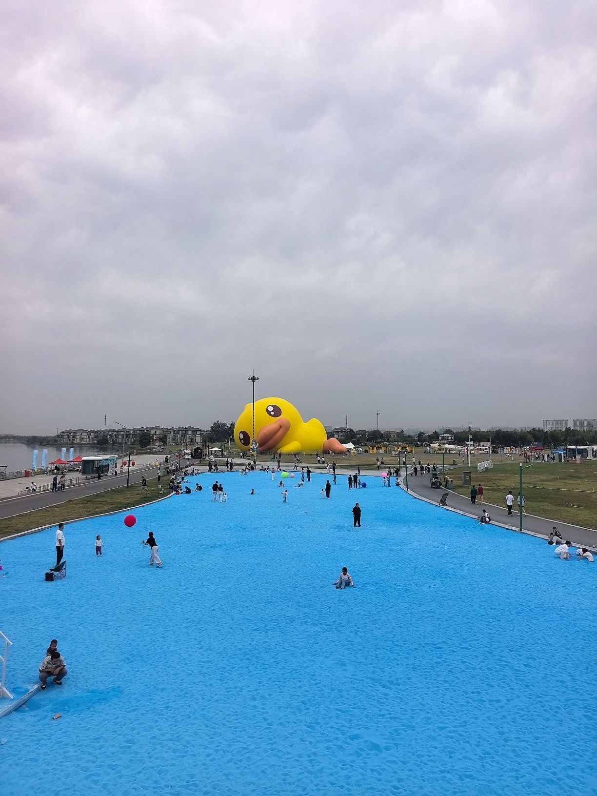 滹沱河大黄鸭