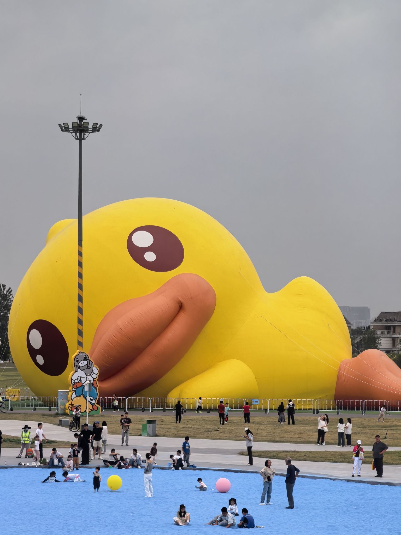 滹沱河大黄鸭