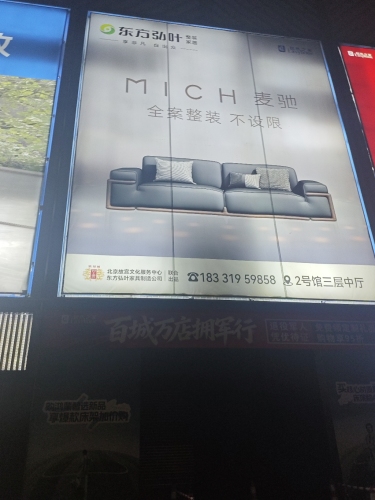 东方弘叶(宁晋店)