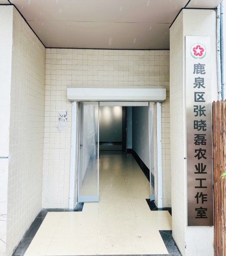 鹿泉区张晓磊农业工作室