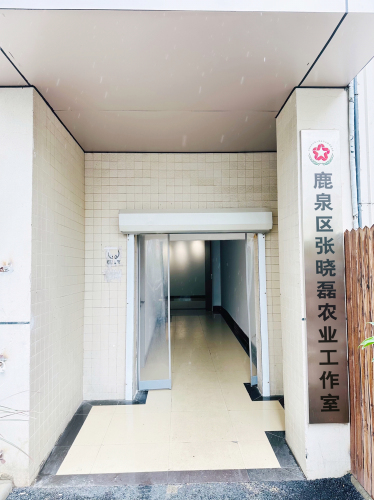 鹿泉区张晓磊农业工作室