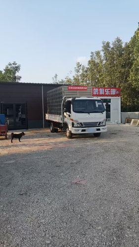 盈冉赛鸽俱乐部