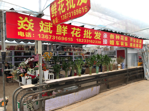 焱斌鲜花批发