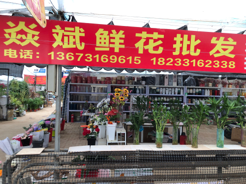 焱斌鲜花批发