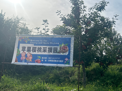 苹果樱桃采摘园