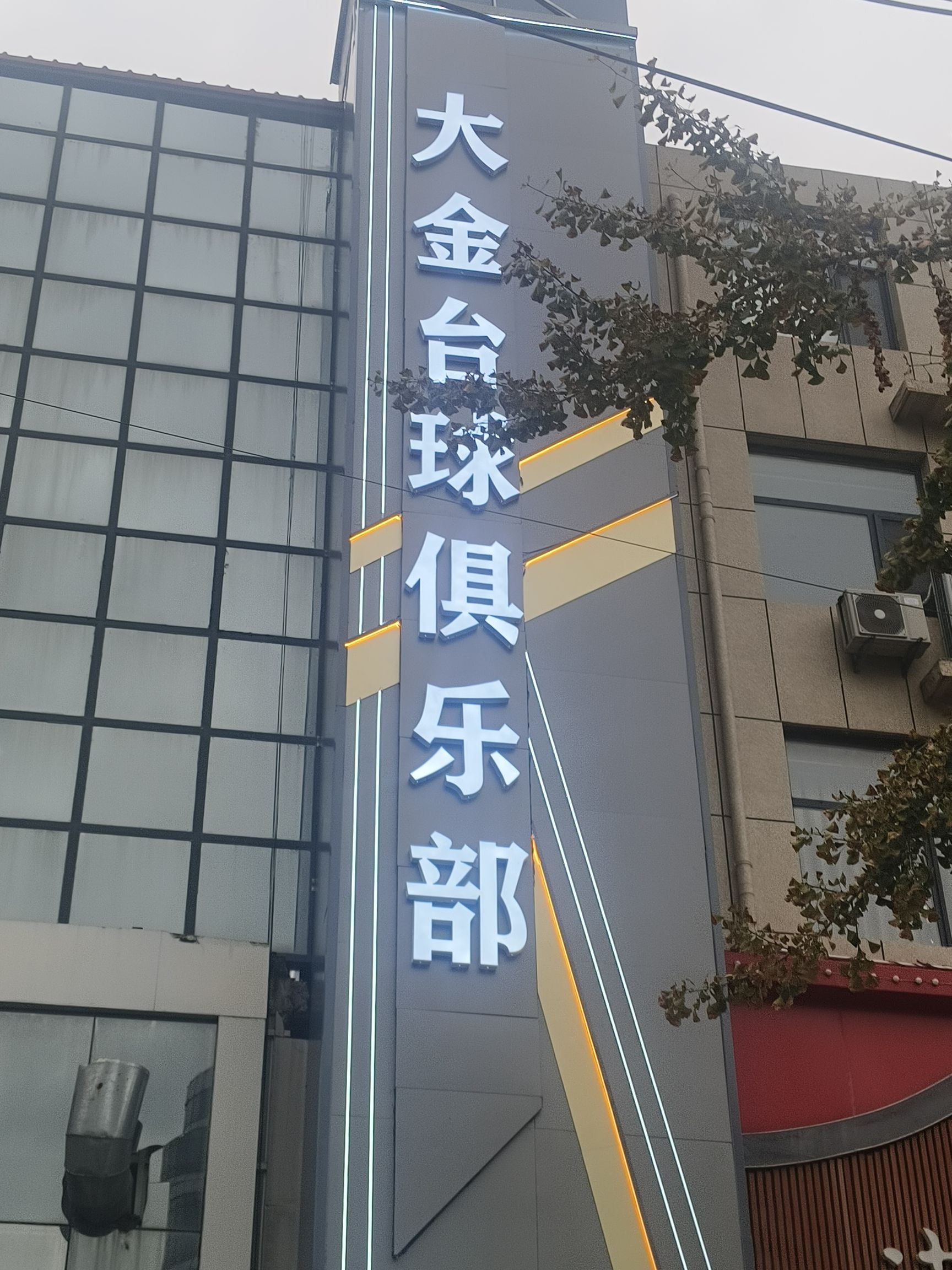 大金台球俱乐部(宁晋店)