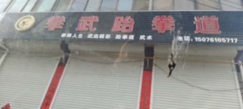 李武跆拳道