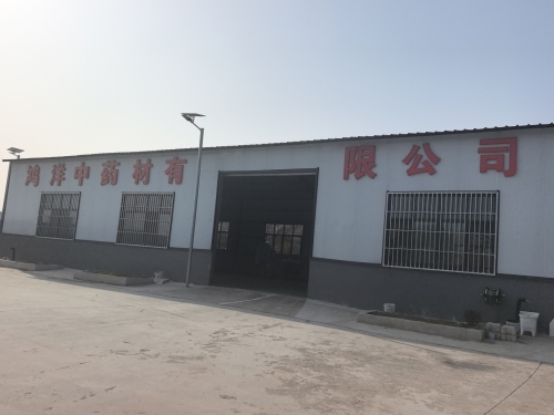 赞皇县鸿洋中药材有限公司