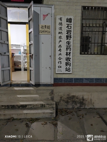 嶂石岩野生药材收购站