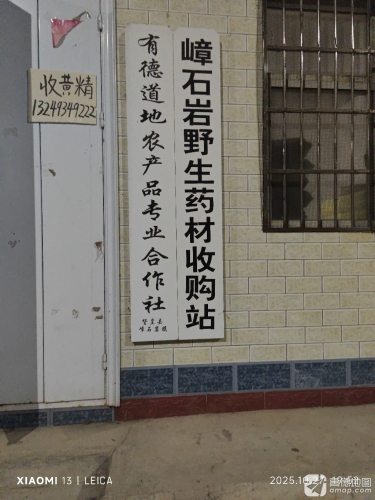 嶂石岩野生药材收购站