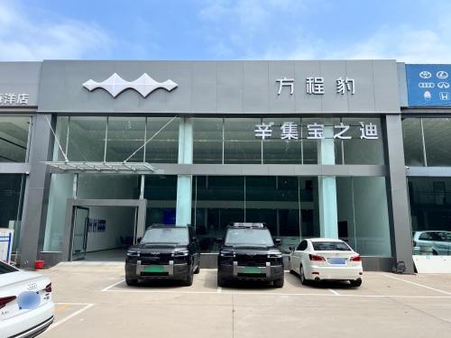 方程豹辛集宝之迪店