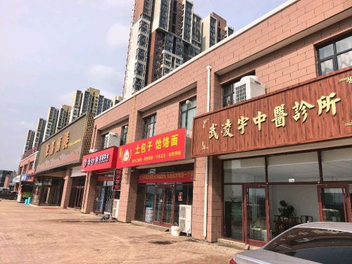 武凌宇中医诊所