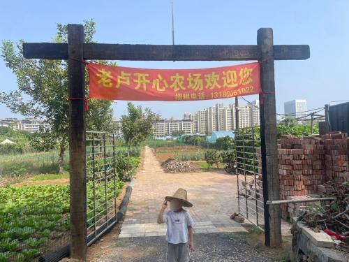 老卢开心农场