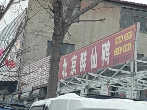 北京醉仙鸭