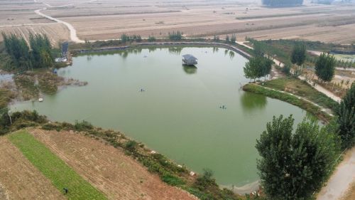 圣水湖农业发展有限公司