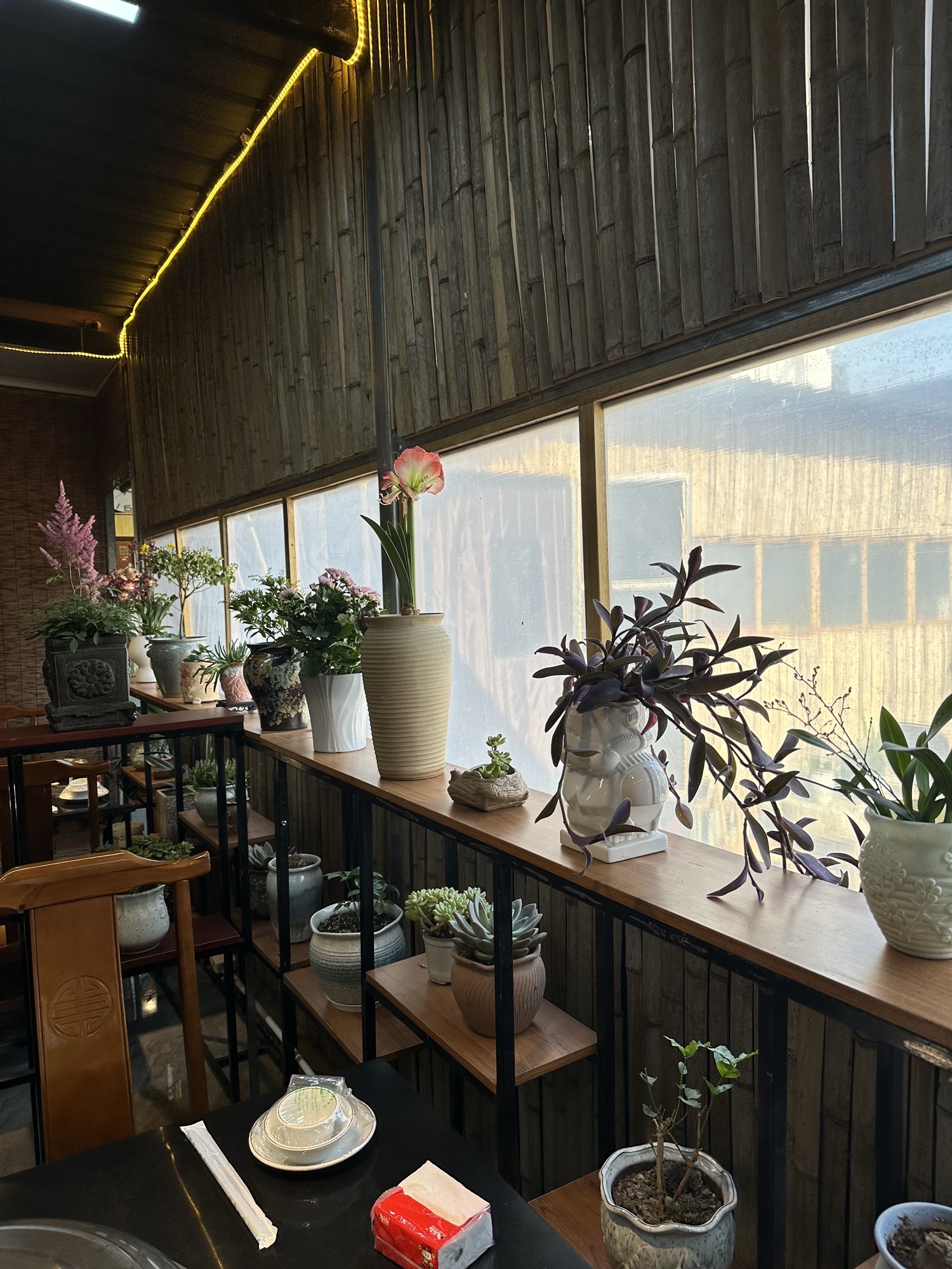 张家大院