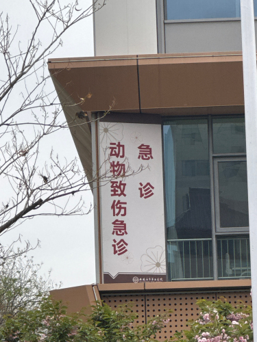 石家庄市第五医院动物致伤急诊