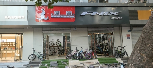 凤凰菲尼仕自行车专卖店(新开大街店)