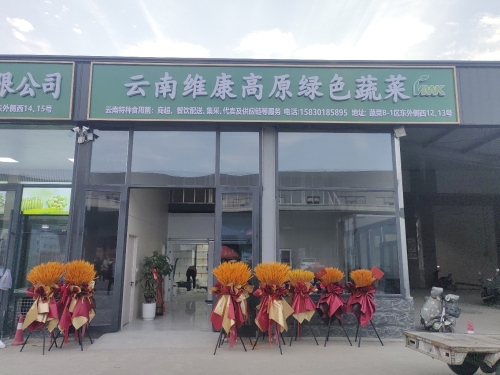 云南维康高原绿色蔬菜(石家庄大河店)