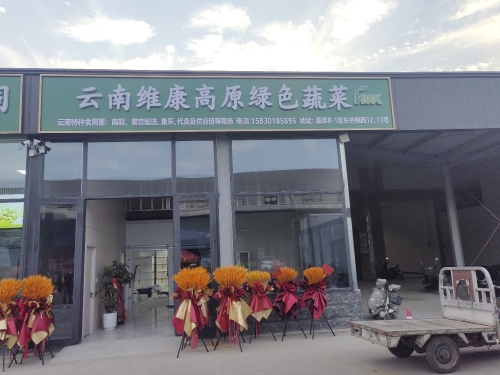 云南维康高原绿色蔬菜(石家庄大河店)