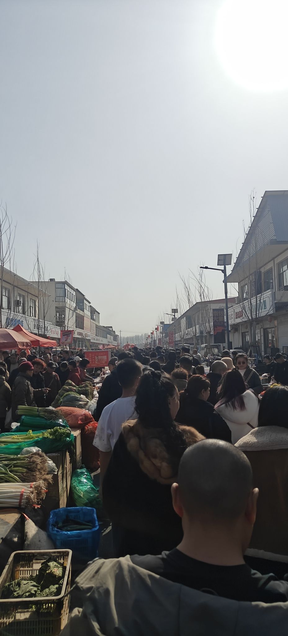 南佐大集