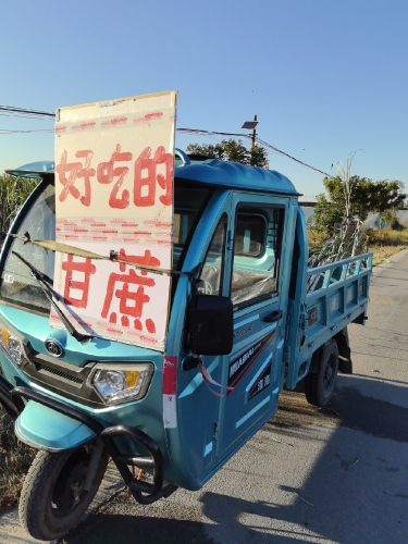 甘蔗基地采摘农场