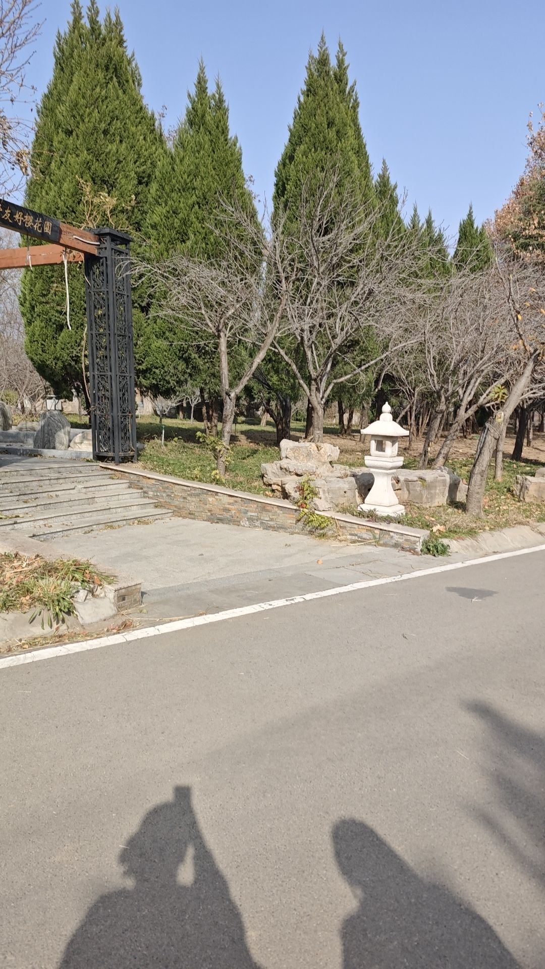 石家庄·长野友好樱花园-休息亭