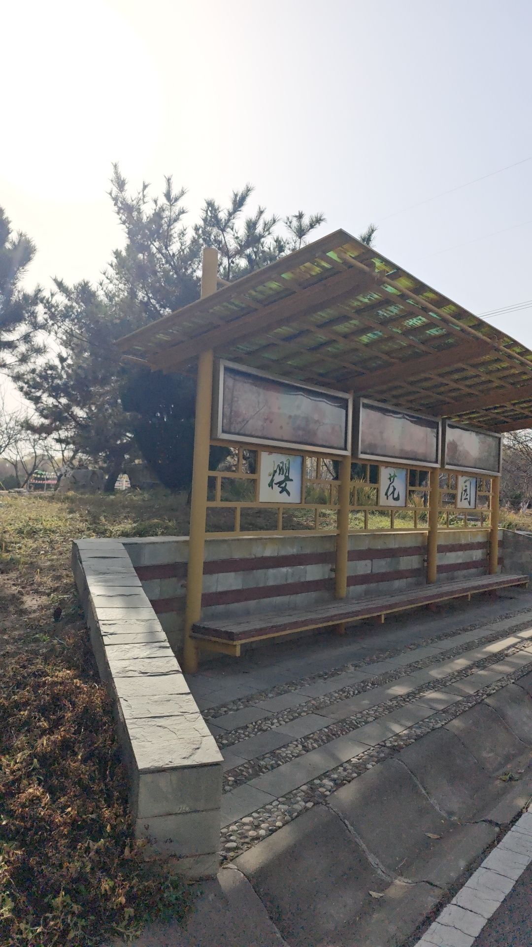石家庄·长野友好樱花园-休息亭