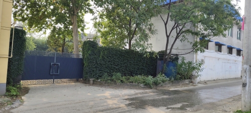 灵寿县梧桐小院