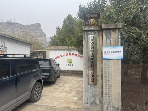 鹿泉区云牡养殖场