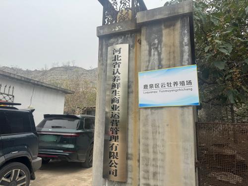 鹿泉区云牡养殖场