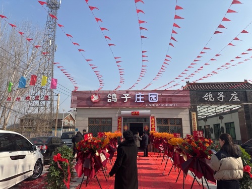 鸽子馆饭店