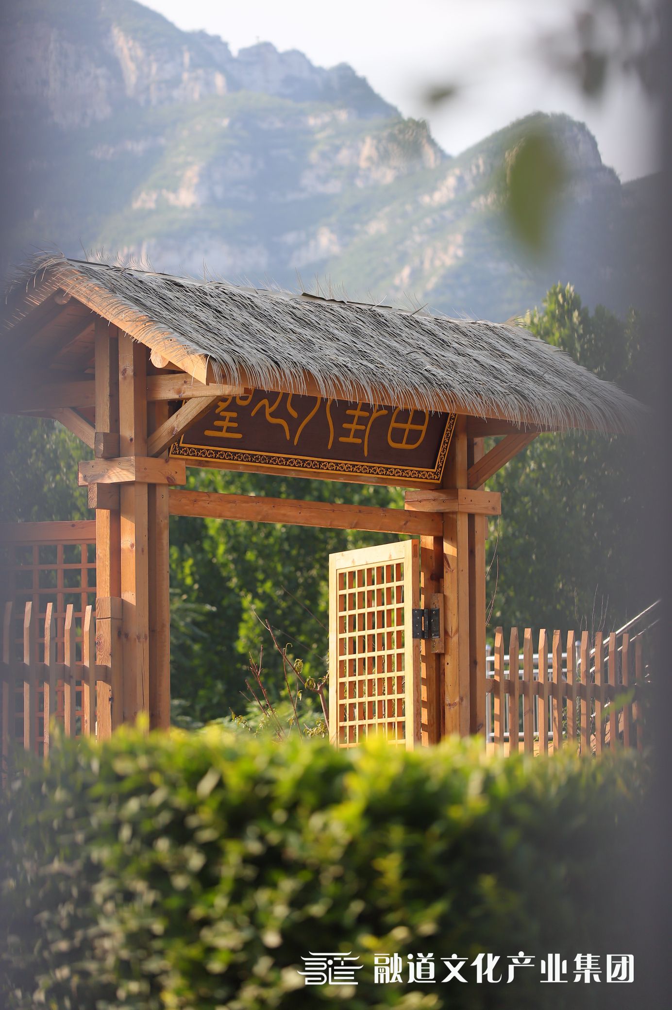融道文化产业集团