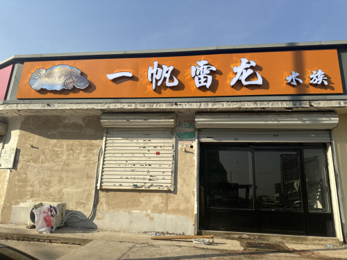 一帆雷龙水族