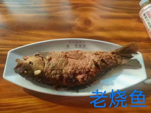 董记五七路桥下第一家板面