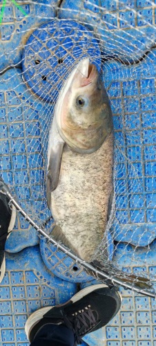 西部长青2号水库垂钓